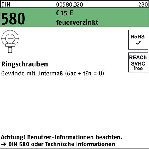 Ringschraube DIN 580 M10 C 15 E feuerverz. 25 Stück