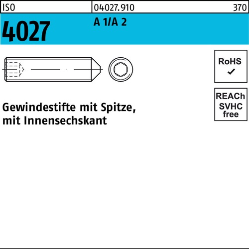 Gewindestift ISO 4027 Spitze/Innen-6kt M6x 30 A 2 200 Stück