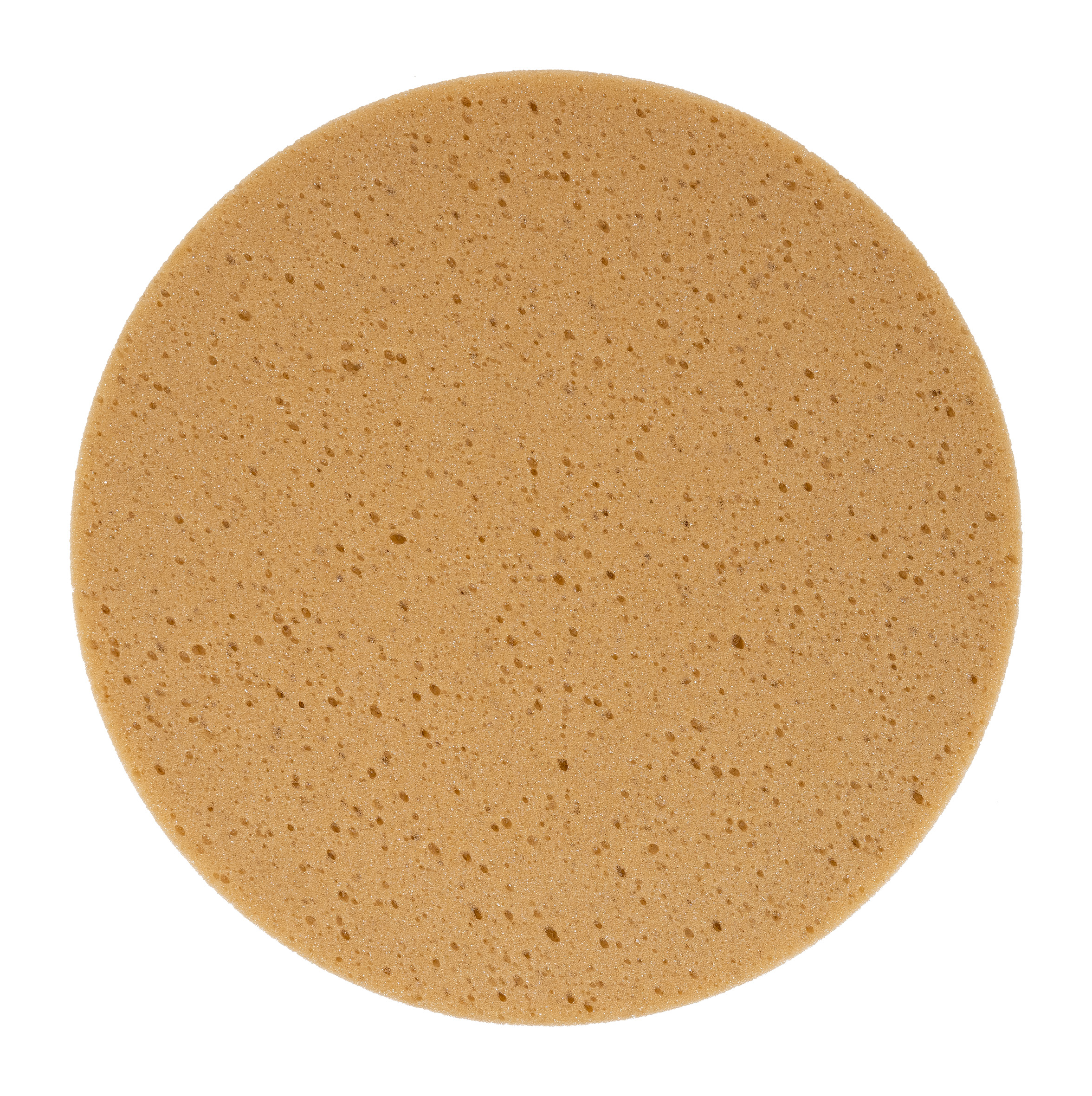 EIBENSTOCK Schwammscheibe (Klett, grobe Porenstruktur) Ø 320 mm für EPG 300 A