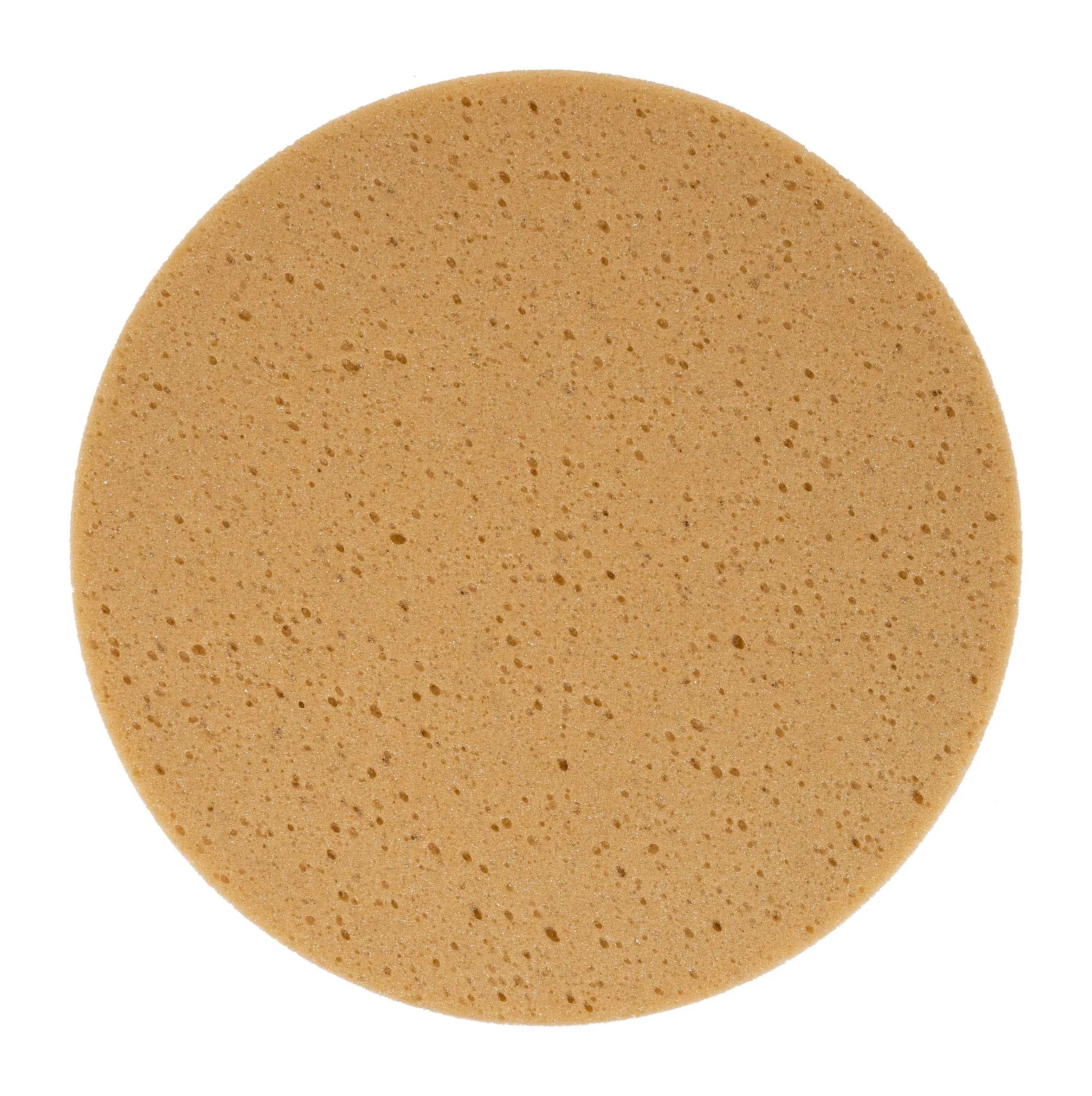 EIBENSTOCK Schwammscheibe (Klett, grobe Porenstruktur) Ø 320 mm für EPG 300 A