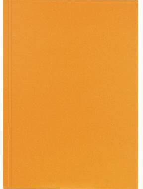Falken Aktendeckel 80001282 23x31,8cm 250g or 100 St./Pack.