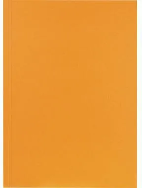 Falken Aktendeckel 80001282 23x31,8cm 250g or 100 St./Pack.