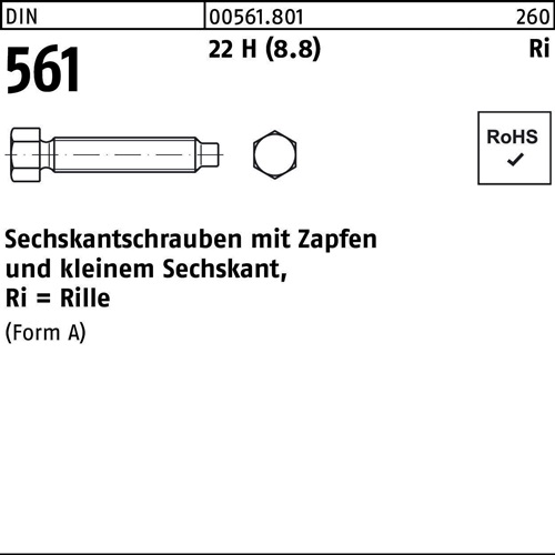 Sechskantschraube DIN 561 Zapfen AM 10x 30 22 H (8.8) 50 Stück