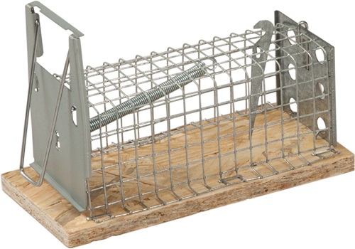 Drahtkäfig-Mausefalle Lebendfalle 95x50mm FREUND VICTORIA