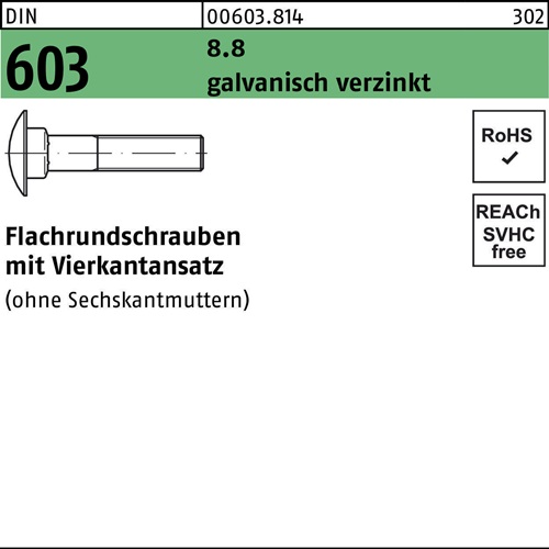 Flachrundschraube DIN 603 Vierkantansatz M8x16 8.8 galv.verz. 200St.