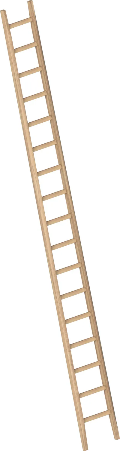 Layher Bau-Holzanlegeleiter 1036 17 Sprossen