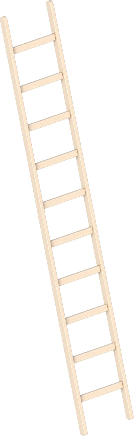 Layher Holzanlegeleiter 1052 10 Sprossen