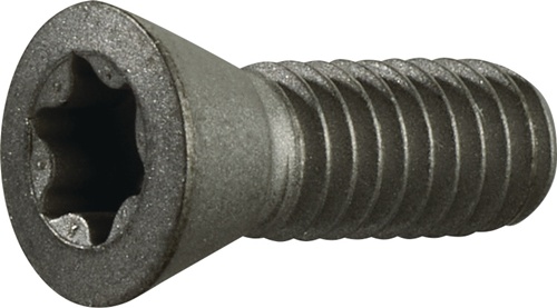 TECWERK Spannschraube Gr.T20 f.TCMT 16/SCMT 12 z.Fasenfräser