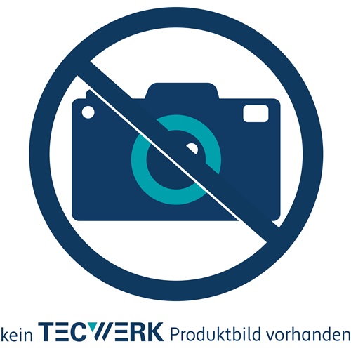 TECWERK Hammerbohrer Großpackung D.6,0mm Arbeits-L.100mm L.160mm SDS-plus 10 St.