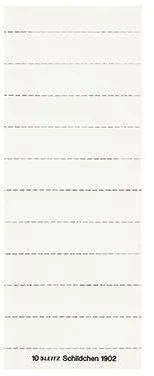 Leitz Beschriftungsschild 19020001 blanko 3zeilig weiß 100 St./Pack.