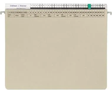 ORGALEX Hängehefter 1207702 2Abheftvorr. Re-Heftung grau