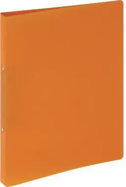 PAGNA Ringbuch 20901-09 A4 2Ringe orange
