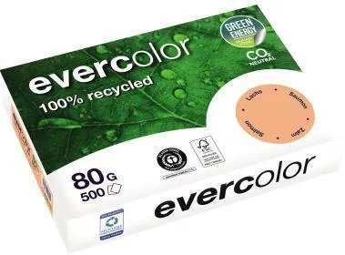 Clairefontaine Kopierpapier 40015C A4 80g RC lachs 500Bl.