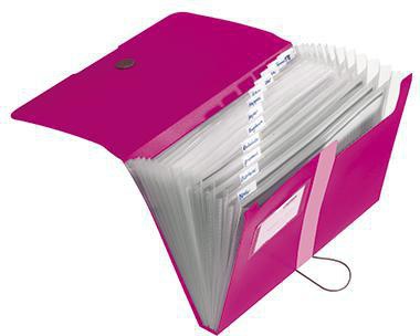 Herlitz Fächermappe easy orga to go 11217114 A4 12Fächer PP beere