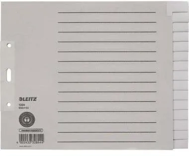 Leitz Register 12240085 blanko DIN A4 15teilig Papier grau