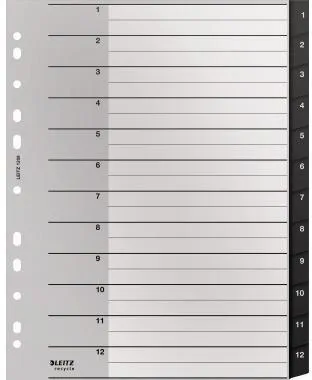Leitz Register Recycle 12090000 A4 1-12 schwarz