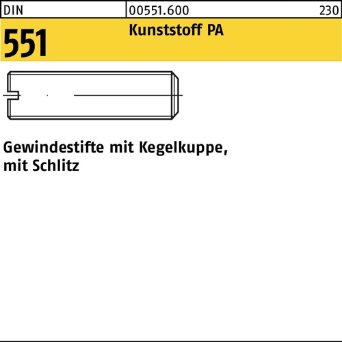 Gewindestift DIN 551 Kegelkuppe/Schlitz M8x 10 Polyamid 100 Stück