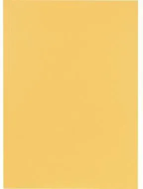 Falken Aktendeckel 80001233 23x31,8cm 250g ch 100 St./Pack.