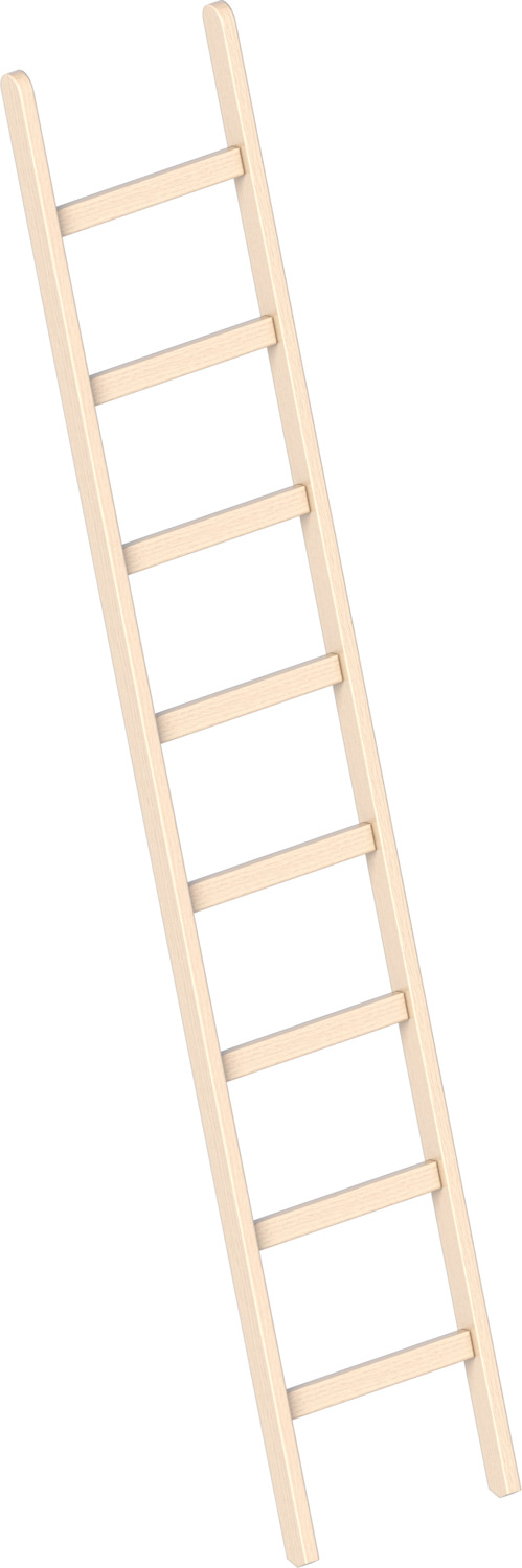 Layher Holzanlegeleiter 1052 8 Sprossen
