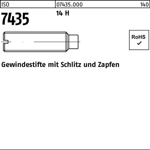 Gewindestift ISO 7435 Schlitz/Zapfen M10x 30 14 H 50 Stück