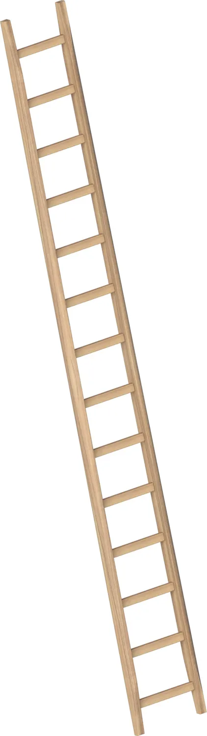 Layher Bau-Holzanlegeleiter 1036 14 Sprossen