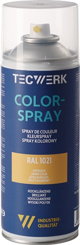 TECWERK Colorspray Spraydose 