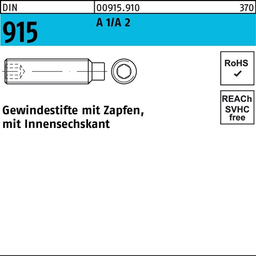 Gewindestift DIN 915 Zapfen/Innen-6kt M8x 25 A1/A2 200 Stück