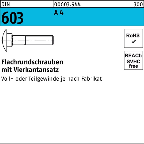 Flachrundschraube DIN 603 m.Vierkantansatz M 8 x 65 A 4 100 Stück