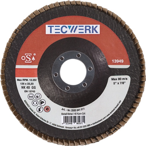 TECWERK Fächerscheibe Stahl/Holz Normalkorund 