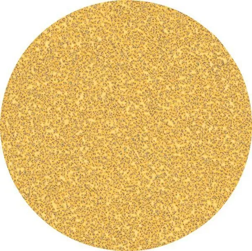 Bosch Schleifpapier EXPERT C470 D.125mm Körnung 40 ohne Löcher 50 St.