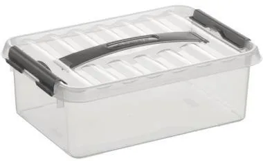 Sunware Aufbewahrungsbox H6160002 4l 300x200x100mm transparent