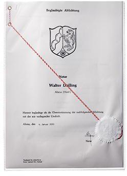 DURABLE Ausweishülle 213119 210x297mm Polypropylen transparent