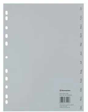 Soennecken Register 1534 DIN A4 Jan.-Dez. volle Höhe PP grau