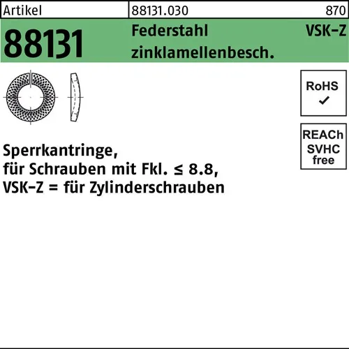 Sperrkantring R 88131 VSK-Z 12x18,3x2,5 Federstahl zinklamellenb. 500St.