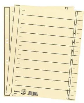 Esselte Trennblatt 621017 DIN A4 24x30cm 10/20Taben ch 100 St./Pa
