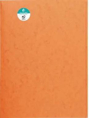 Exacompta Sammelmappe 56409E DIN A4 3Klappen Karton orange