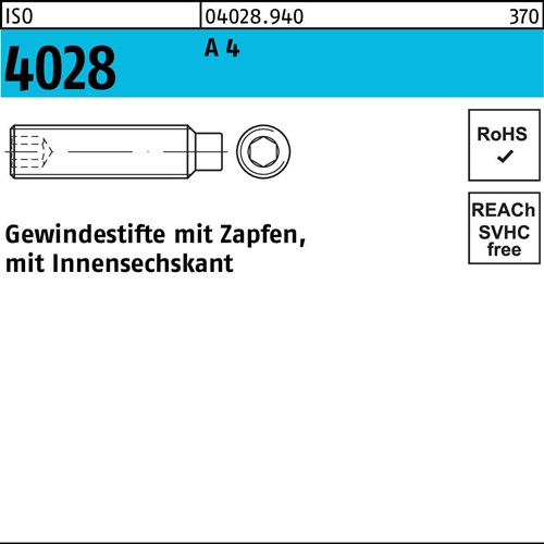 Gewindestift ISO 4028 Zapfen/Innen-6kt M16x 30 A 4 10 Stück