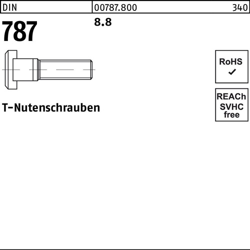 T-Nutenschraube DIN 787 12 M12x 125 8.8 10 Stück