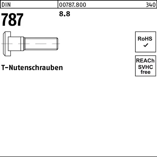 T-Nutenschraube DIN 787 10 M10x 50 8.8 25 Stück