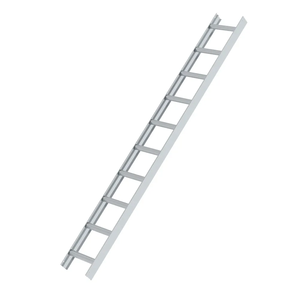 MUNK Dachleiter