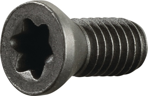 TECWERK Spannschraube M3,5 Gewinde-L.8mm z.Klemmdrehhalter SE R/ SI L