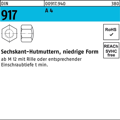 Sechskanthutmutter DIN 917 niedrige FormM10 SW 17 A 4 25 Stück
