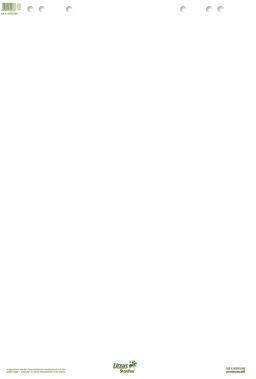 Ursus Staufen Flipchartblock Green 608580000 68x99cm 20Bl. blanko