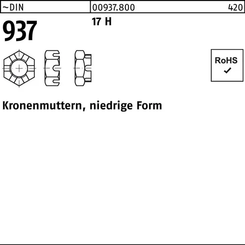 Kronenmutter DIN 937 niedrige FormM8 17 H 100 Stück