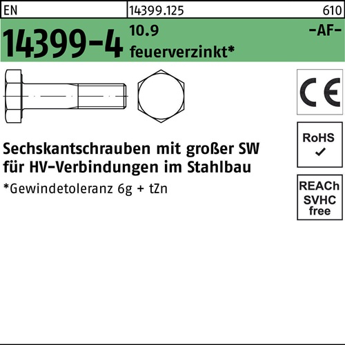 Sechskantschraube EN 14399-4 M20x 260 10.9 feuerverz. 1 Stück FRIEDBERG