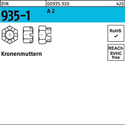 Kronenmutter DIN 935-1 M 20 A 2 10 Stück