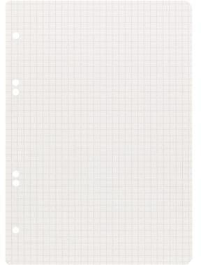 Landré Ringbucheinlage 100050496 DIN A5 kariert weiß 50 Bl./Pack.