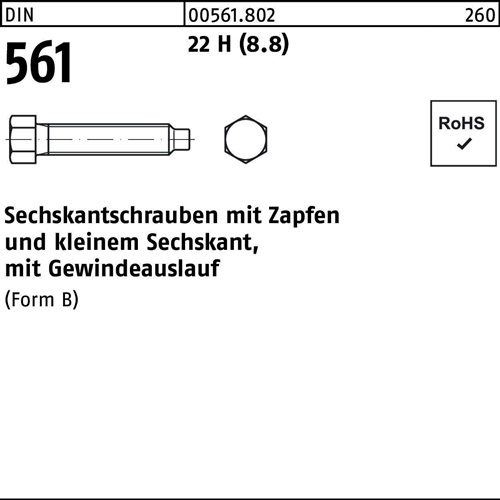 Sechskantschraube DIN 561 Zapfen BM 8x 20 22 H (8.8) 100 Stück