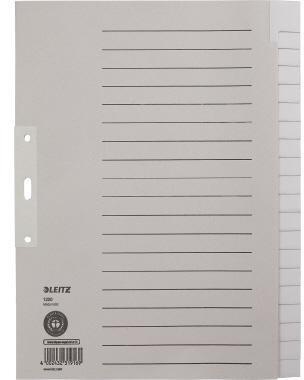 Leitz Register 12200085 blanko DIN A4 20teilig Papier grau