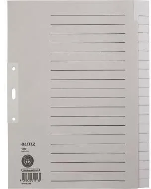 Leitz Register 12200085 blanko DIN A4 20teilig Papier grau